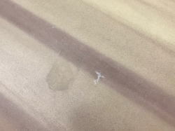 �I�[�o�[�z�[�� Brewer 10_4